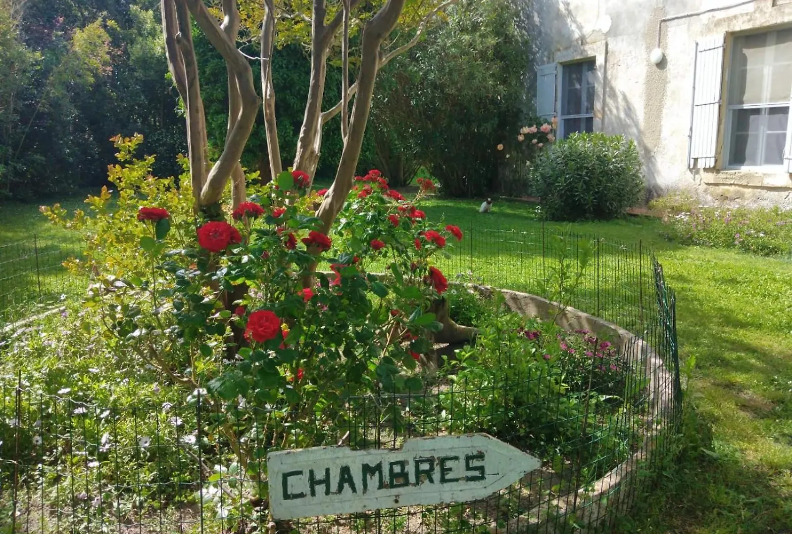 Le Mas d'Icard Les Les Saintes-Maries-de-la-Mer